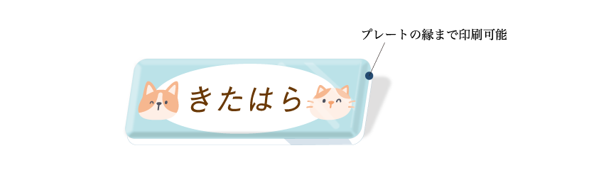 カラータイプの商品仕様